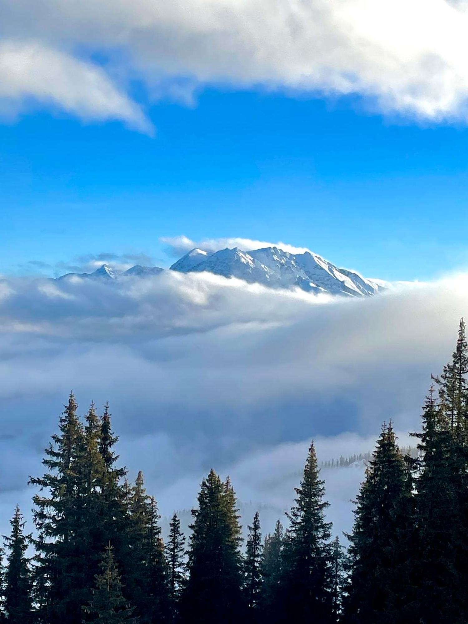 Chalet Belmont Flims Dış mekan fotoğraf