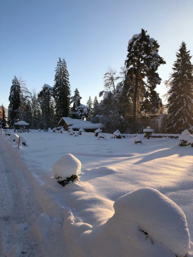 Chalet Belmont Flims Dış mekan fotoğraf